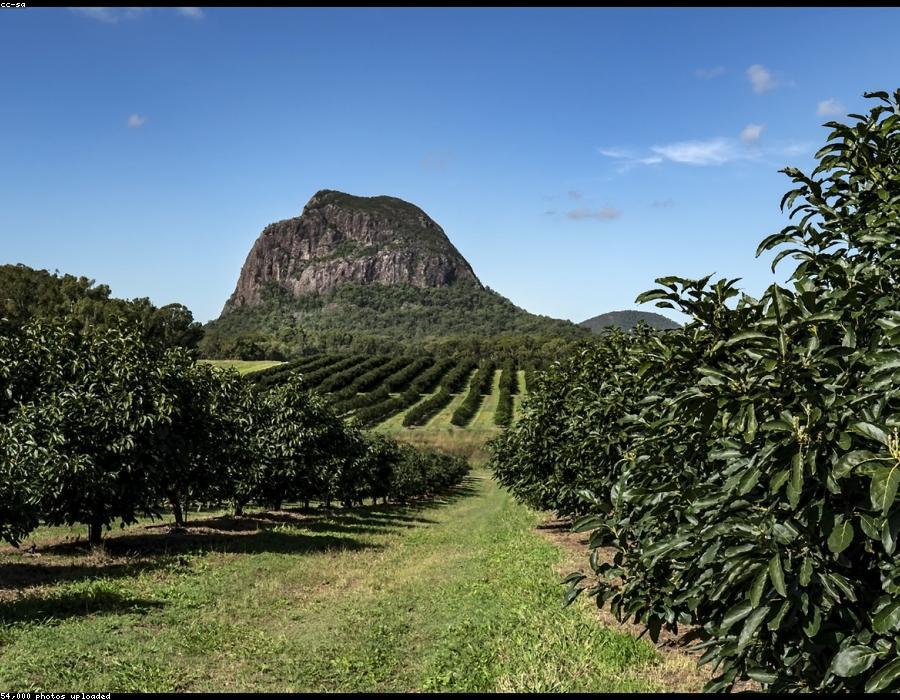 Patmos farms