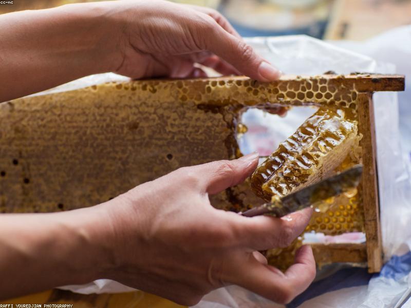 Patmos Honey